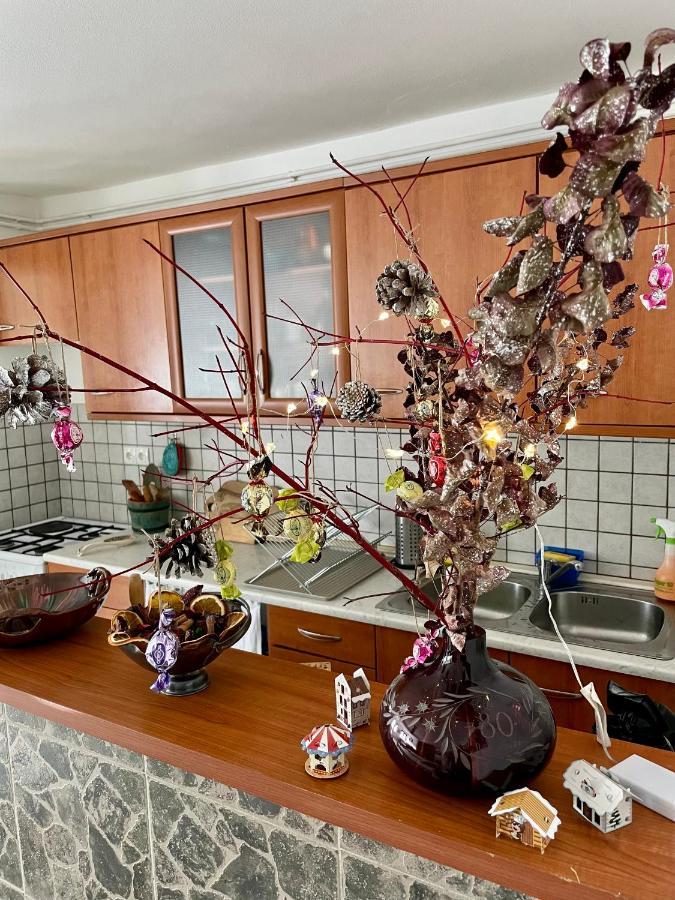 Apartma Pri Soci Apartment Bovec Bagian luar foto